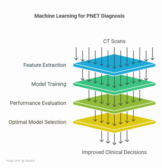 Non-invasive PNET grading using CT radiomics and machine learning {faces}